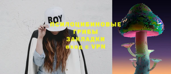 соль ск Алзамай
