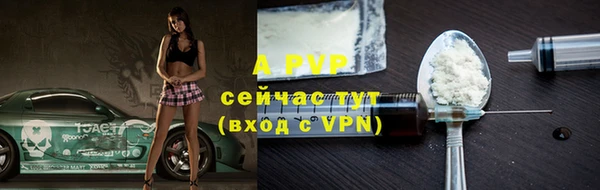 СК Алексин