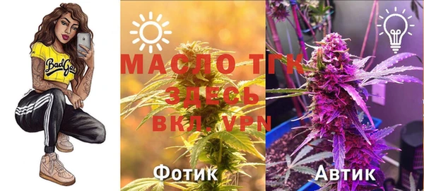 СК Алексин