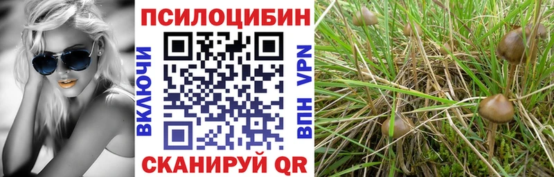 Галлюциногенные грибы GOLDEN TEACHER  Купить  Нижнеудинск 